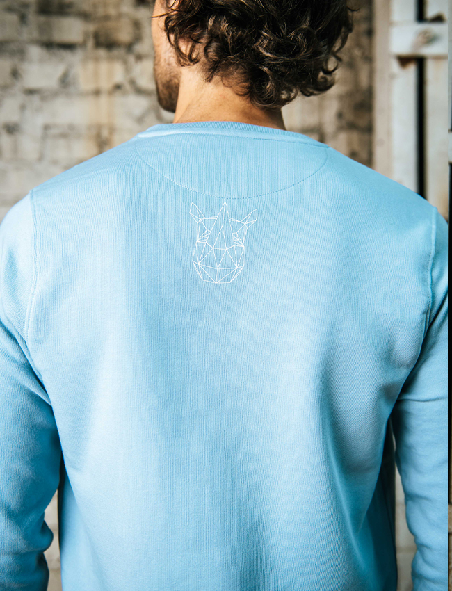 Pullover Male in Hellblau