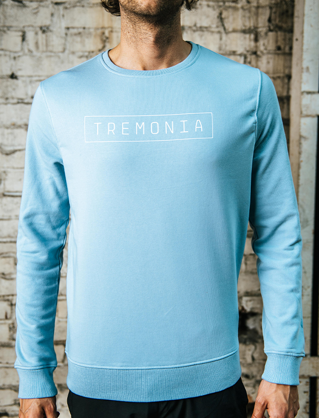 Pullover Male in Hellblau